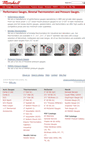 Mobile Screenshot of marshallinstruments.com